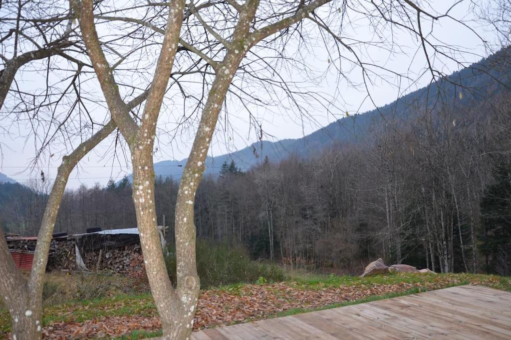 A La Cheneau Villa Rochesson Bagian luar foto